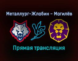 Металлург-Жлобин — Могилёв прямая трансляция 14 января 2022 года