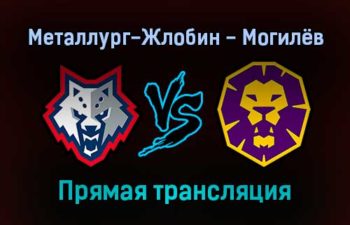 Металлург-Жлобин — Могилёв прямая трансляция 14 января 2022 года