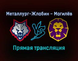 Металлург-Жлобин — Могилёв прямая трансляция 16 января 2022 года