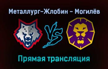 Металлург-Жлобин — Могилёв прямая трансляция 16 января 2022 года