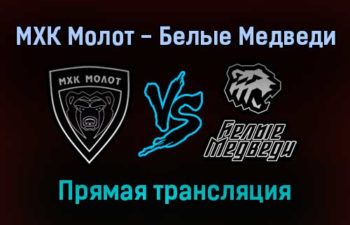 МХК Молот — Белые Медведи прямая трансляция 11 января 2022 года
