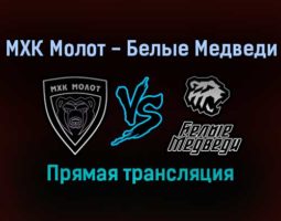 МХК Молот — Белые Медведи прямая трансляция 12 января 2022 года