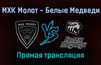 МХК Молот — Белые Медведи прямая трансляция 12 января 2022 года