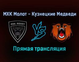 МХК Молот — Кузнецкие Медведи прямая трансляция 27 января 2022 года