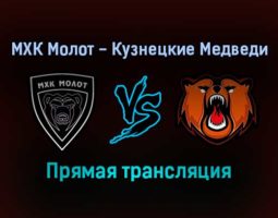 МХК Молот — Кузнецкие Медведи прямая трансляция 28 января 2022 года