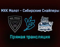 МХК Молот — Сибирские Снайперы прямая трансляция 23 января 2022