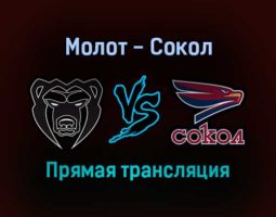 Молот — Сокол прямая трансляция 29 января 2022 года