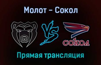 Молот — Сокол прямая трансляция 29 января 2022 года