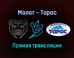 Молот — Торос прямая трансляция 5 января 2022 года