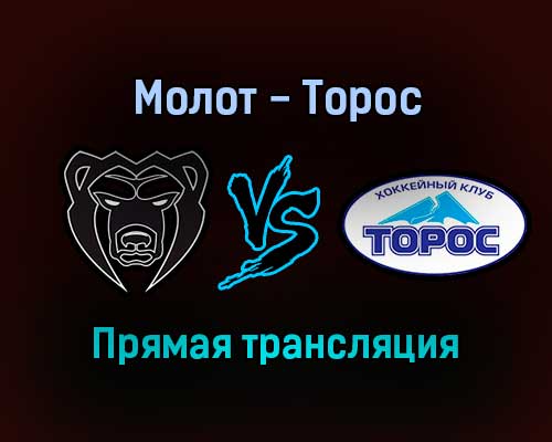 Молот — Торос прямая трансляция 5 января 2022 года Молот — Торос прямая трансляция 5 января 2022 года