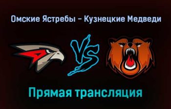 Омские Ястребы — Кузнецкие Медведи прямая трансляция 18 января 2022 года