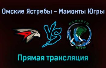 Омские Ястребы — Мамонты Югры прямая трансляция 27 января 2022 года