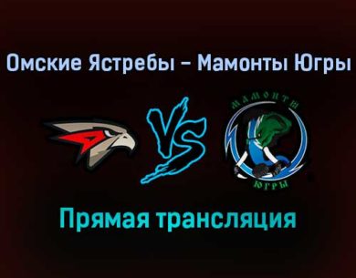 Омские Ястребы — Мамонты Югры прямая трансляция 27 января 2022 года