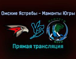 Омские Ястребы — Мамонты Югры прямая трансляция 28 января 2022 года