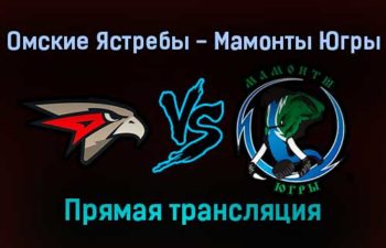 Омские Ястребы — Мамонты Югры прямая трансляция 28 января 2022 года