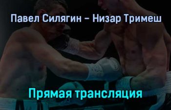 Павел Силягин — Низар Тримеш прямая трансляция 31 января 2022 года
