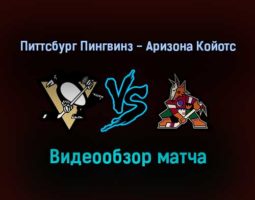 Питтсбург Пингвинз — Аризона Койотс 26 января 2022 года обзор матча