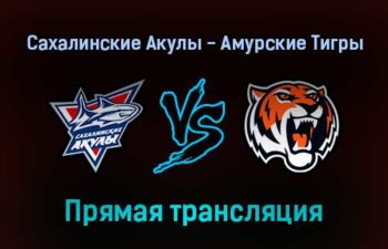 Сахалинские Акулы — Амурские Тигры прямая трансляция 12 января 2022 года