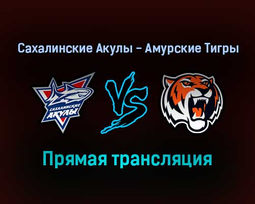 Сахалинские Акулы — Амурские Тигры прямая трансляция 12 января 2022 года Сахалинские Акулы — Амурские Тигры прямая трансляция 12 января 2022 года