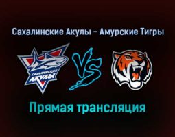 Сахалинские Акулы — Амурские Тигры прямая трансляция 13 января 2022 года