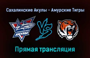 Сахалинские Акулы — Амурские Тигры прямая трансляция 13 января 2022 года