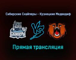 Сибирские Снайперы — Кузнецкие Медведи прямая трансляция 7 января 2022 года