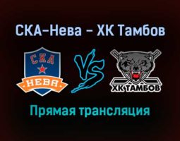 СКА-Нева — ХК Тамбов прямая трансляция 29 января 2022 года