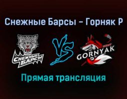 Снежные Барсы — Горняк Р прямая трансляция 24 января 2022 года