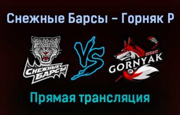 Снежные Барсы — Горняк Р прямая трансляция 25 января 2022 года