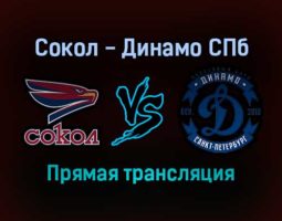 Сокол — Динамо СПб прямая трансляция 18 января 2022 года
