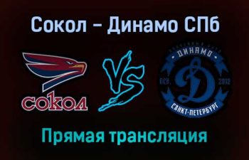 Сокол — Динамо СПб прямая трансляция 18 января 2022 года