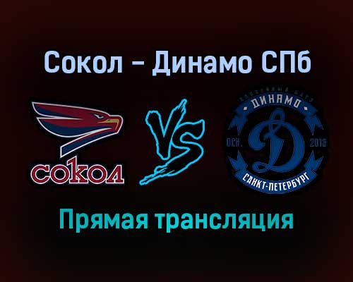 Сокол — Динамо СПб прямая трансляция 18 января 2022 года