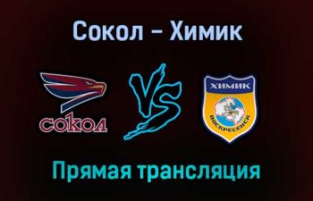 Сокол — Химик прямая трансляция 23 января 2022