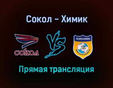 Сокол — Химик прямая трансляция 23 января 2022