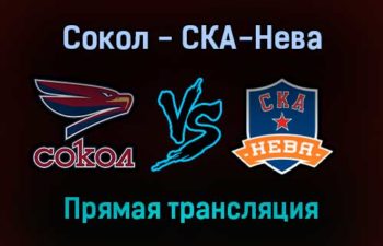 Сокол — СКА-Нева прямая трансляция 16 января 2022 года