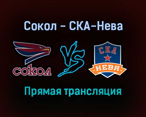 Сокол — СКА-Нева прямая трансляция 16 января 2022 года Сокол — СКА-Нева прямая трансляция 16 января 2022 года