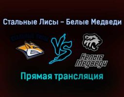 Стальные Лисы — Белые Медведи прямая трансляция 21 января 2022 года