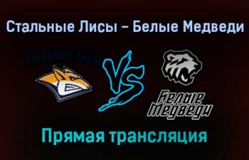 Стальные Лисы — Белые Медведи прямая трансляция 22 января 2022 года