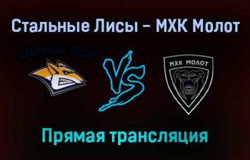 Стальные Лисы — МХК Молот прямая трансляция 15 января 2022 года
