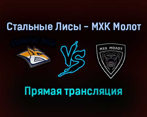 Стальные Лисы — МХК Молот прямая трансляция 15 января 2022 года Стальные Лисы — МХК Молот прямая трансляция 15 января 2022 года
