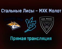 Стальные Лисы — МХК Молот прямая трансляция 16 января 2022 года
