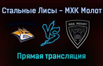 Стальные Лисы — МХК Молот прямая трансляция 16 января 2022 года