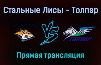 Стальные Лисы — Толпар прямая трансляция 11 января 2022 года