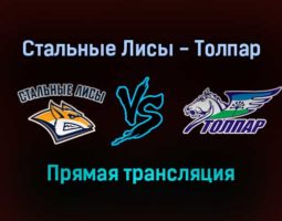 Стальные Лисы — Толпар прямая трансляция 12 января 2022 года
