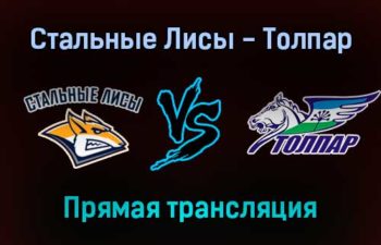 Стальные Лисы — Толпар прямая трансляция 12 января 2022 года