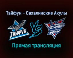 Тайфун — Сахалинские Акулы прямая трансляция 5 января 2022 года