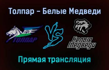 Толпар — Белые Медведи прямая трансляция 15 января 2022 года