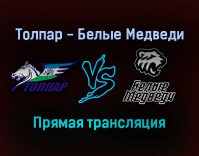 Толпар — Белые Медведи прямая трансляция 15 января 2022 года