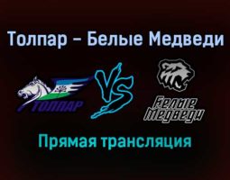 Толпар — Белые Медведи прямая трансляция 16 января 2022 года