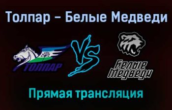 Толпар — Белые Медведи прямая трансляция 16 января 2022 года